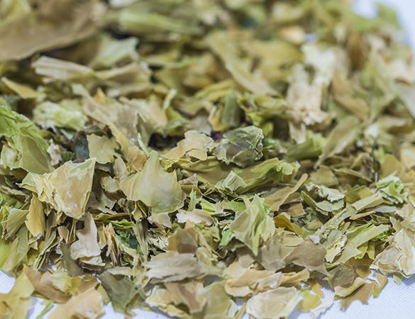Le nori est une algue musquée rappelant le goût du thé vert, en vente dans la boutique Algorythme